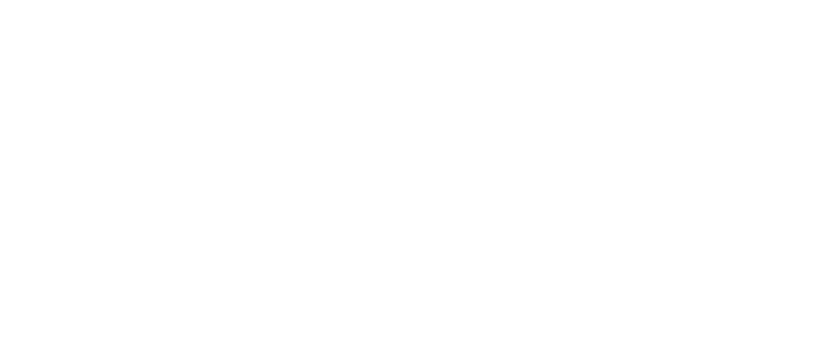 Memphis Fossil tumbled limestone